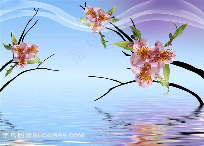 装饰画背景画无框画蝴蝶兰水面