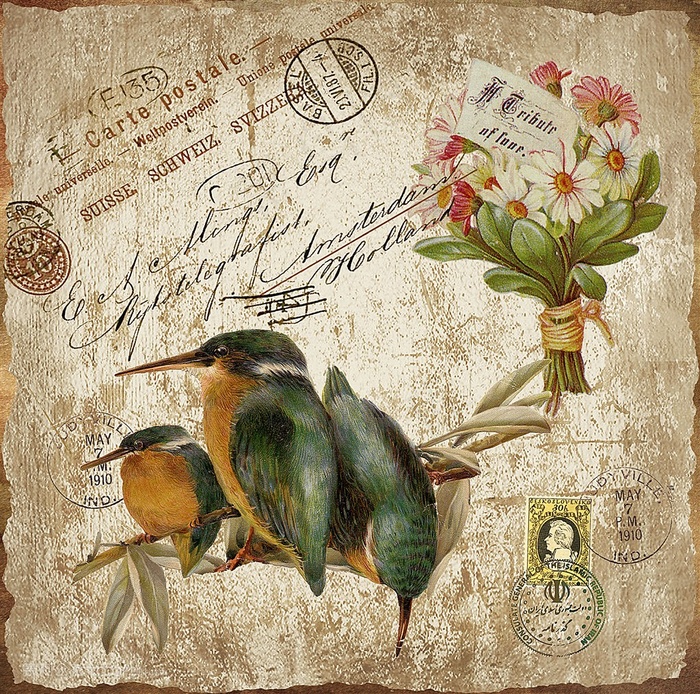 欧式花鸟装饰画