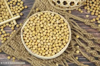 黄色大豆摄影图片