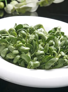黑豆苗火锅配菜美食设计素材