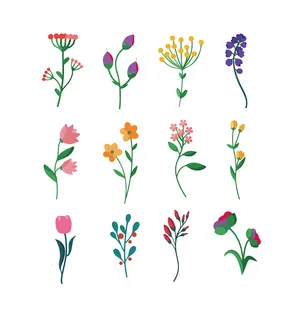 免抠清新简约花草植物素材