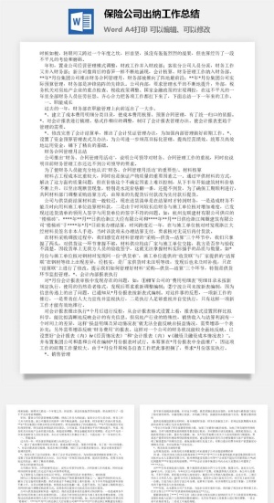 保险公司出纳工作总结word模板预览图