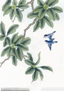 工笔画鸟图 工笔画鸟图