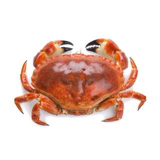 螃蟹(11)海鲜超市商品红酒白底图免抠实物摄影png格式图片透明底