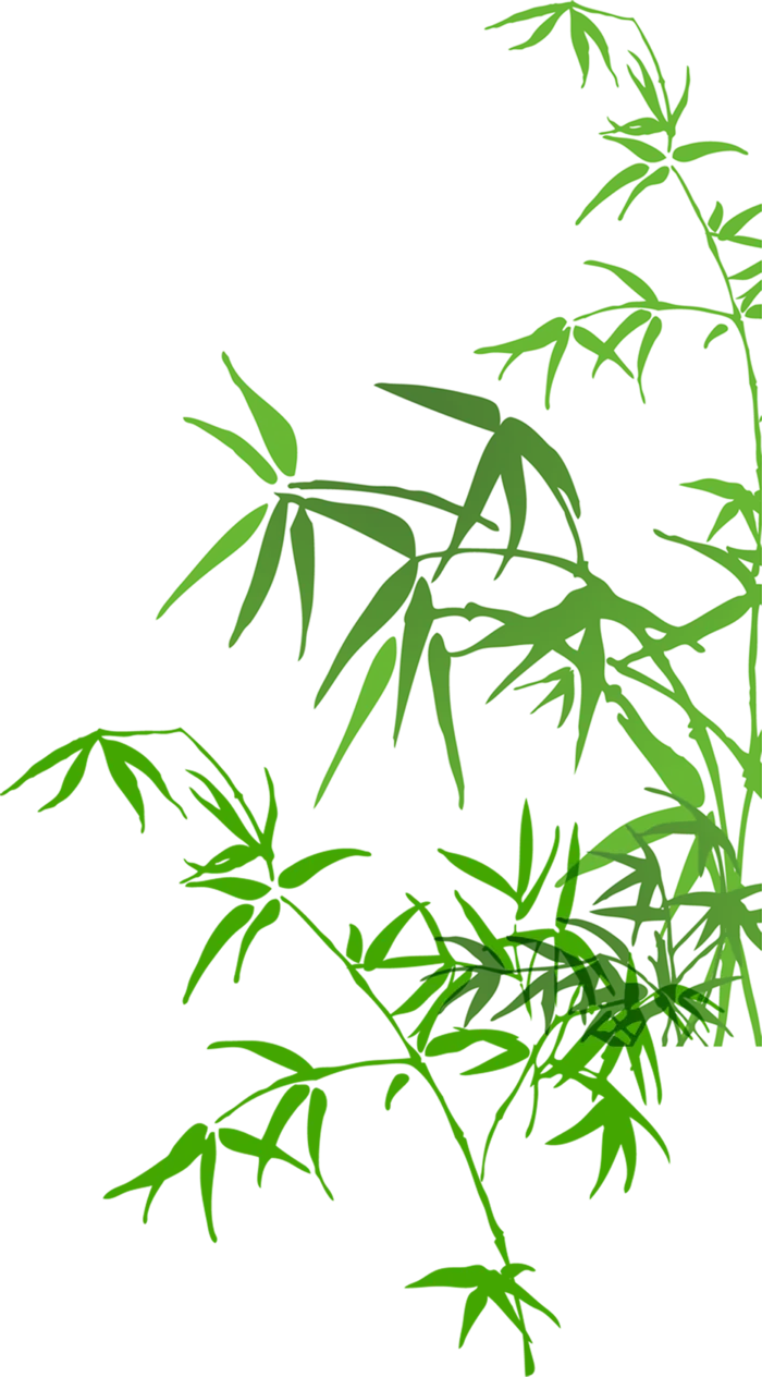 竹子水墨画中国风国画墨水书法竹子画