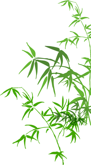 竹子水墨画中国风国画墨水书法竹子画