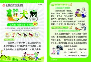  狂犬病预防 