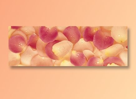 带水珠的花瓣全景摄影环境贴图