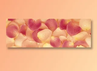 带水珠的花瓣全景摄影环境贴图