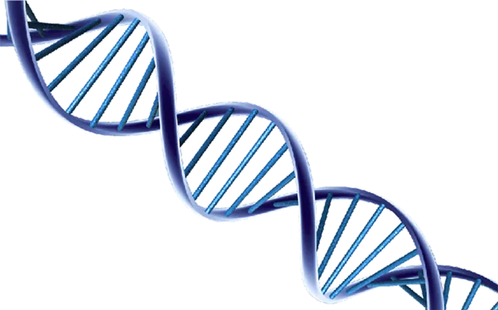 DNA蓝色旋转序列实物科技kv主视觉素材