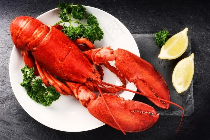 白色餐盘中美味的红色大龙虾高清图片