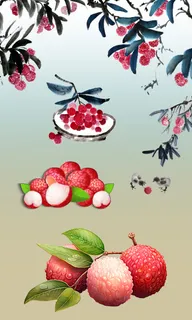 国画写意工笔荔枝插画集合 国画写意工笔荔枝插画集合