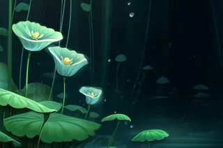 国风夜晚荷花荷叶大气背景