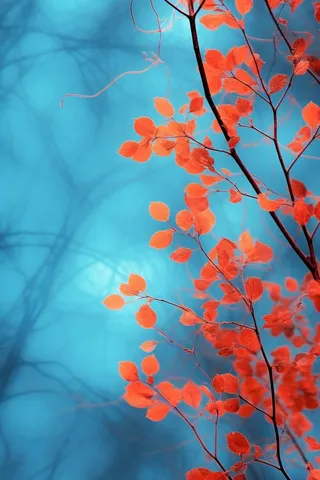 红叶大气简约蓝色背景