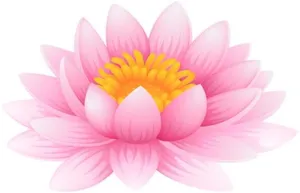 莲花 PNG免抠