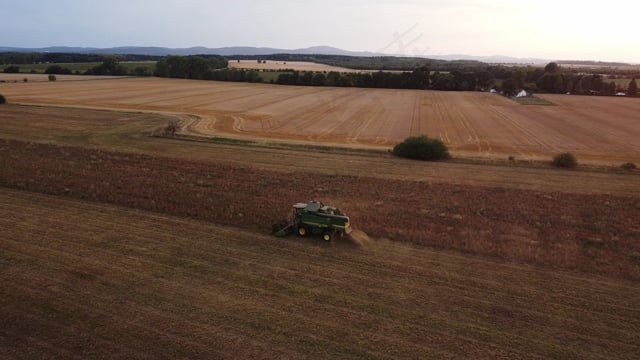 场地, 收成, 联合收割机, 粮食, 五谷丰收, 农业