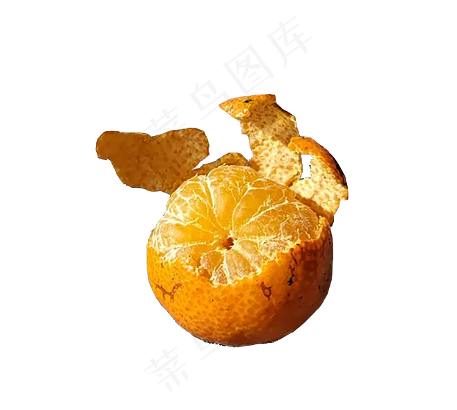 免扣艺术桔子