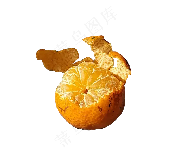 免扣艺术桔子
