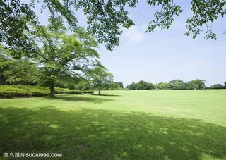 草地天空-绿油油的草地