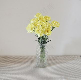 黄色康乃馨插花图片