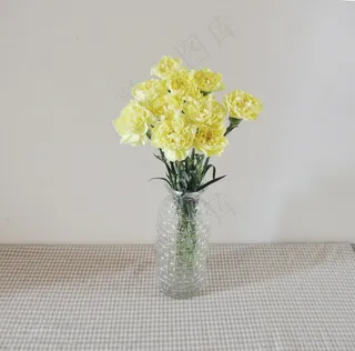 黄色康乃馨插花图片