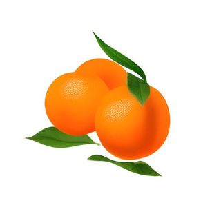 橘子橙子水果免抠
