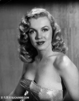 欧美梦露装饰画