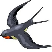 燕子 PNG免抠(200x200)