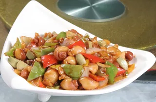 火爆黄素螺  18元