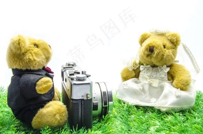 黄色泰迪熊图片