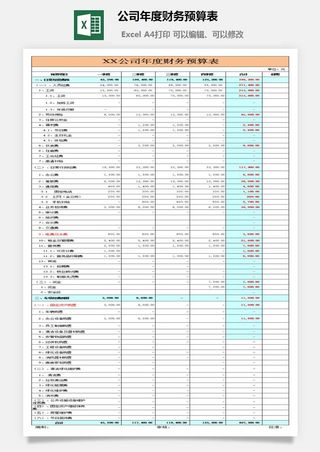 15公司年度财务预算表