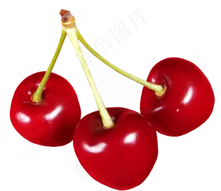 樱桃免抠素材 (46)