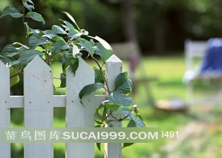 庭院栅栏高清图片