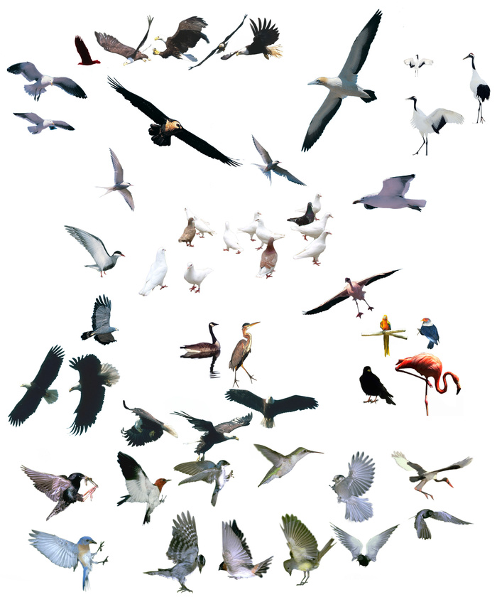 分析图素材图标集合景观建筑立面插画场景AI矢量图形设计psd模版下载