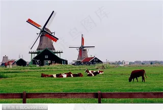 风车下的牧场