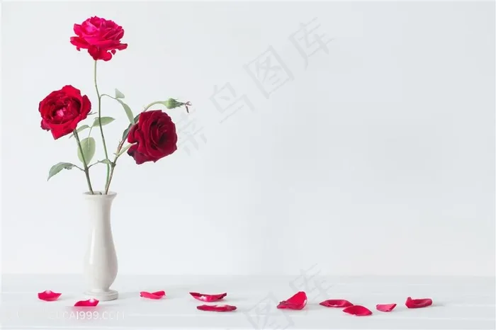红玫瑰花瓶花瓣散落的花玫瑰花素材