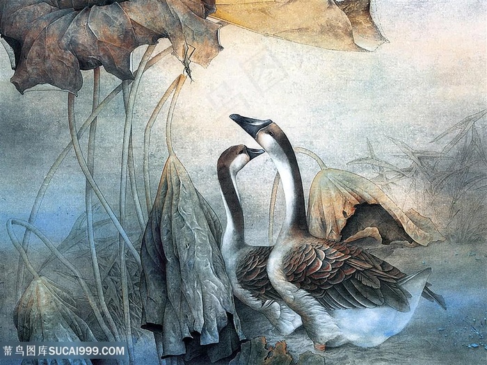 工笔家禽大鹅图片