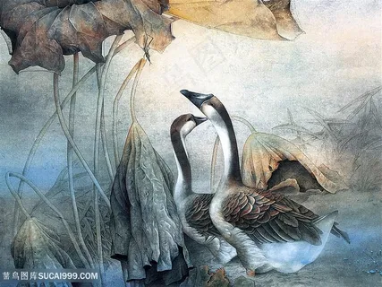 工笔家禽大鹅图片