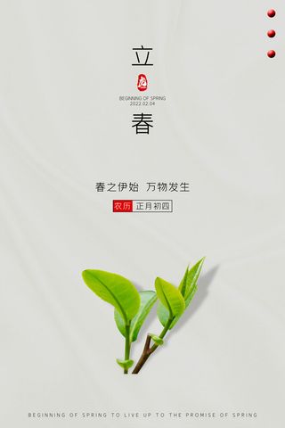 创意立春2月二月春天春季你好24二十四节气广告海报素材设计模板