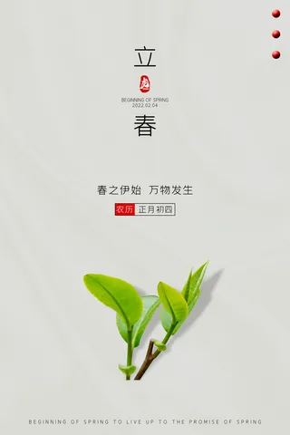 创意立春2月二月春天春季你好24二十四节气广告海报素材设计模板