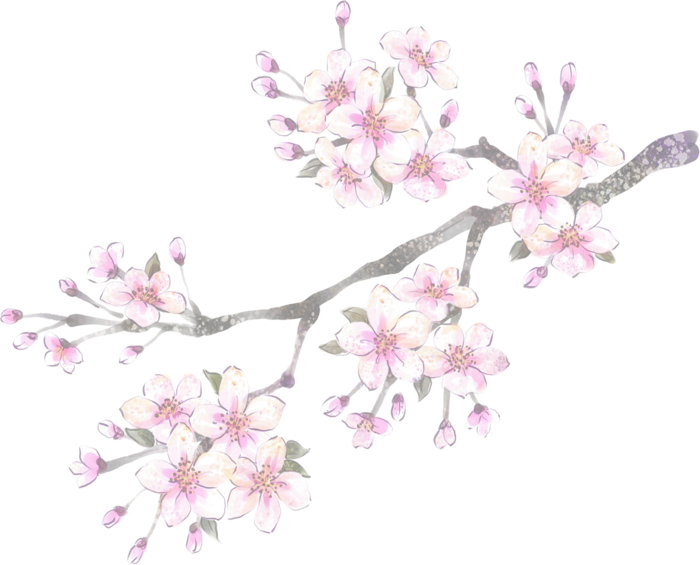 粉色简约风手绘鲜花花朵水墨画PNG素材图片 (20)