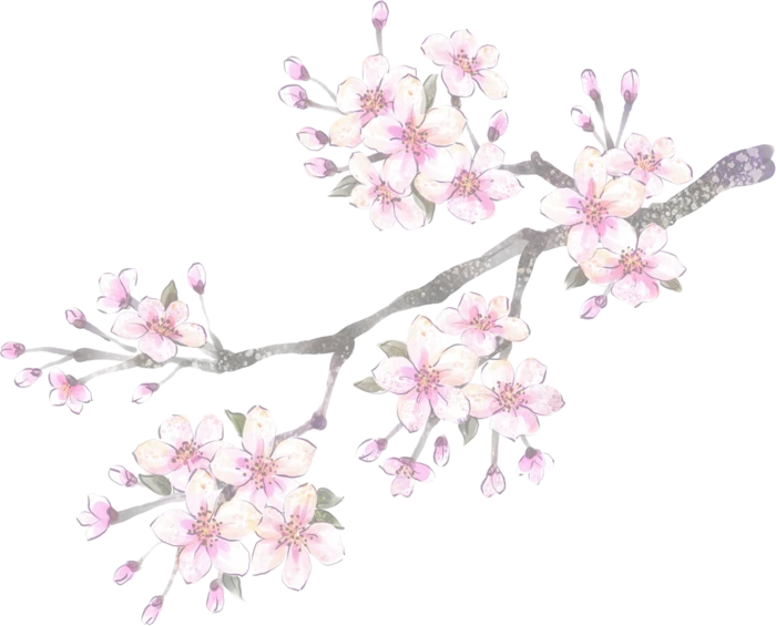 粉色简约风手绘鲜花花朵水墨画PNG素材图片 (20)