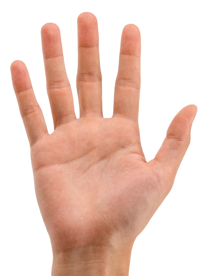 手势免抠png 手掌打开