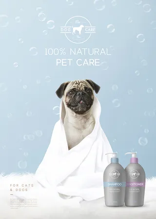 宠物用品宣传广告