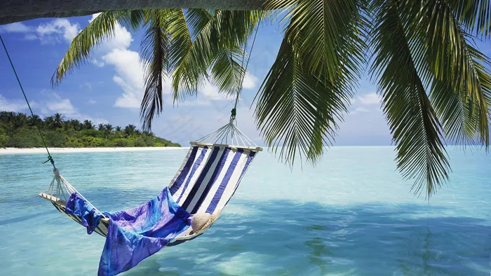夏季夏天海边椰树吊床
