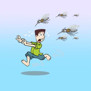 蚊虫叮咬恐惧蚊子追跑插图