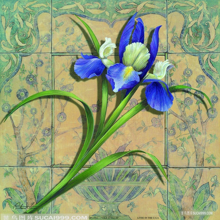 高清唯美兰花复古插画