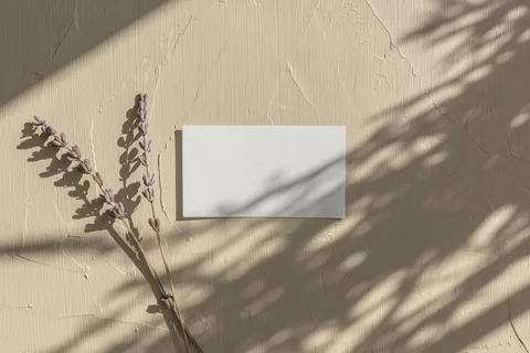 文艺光影单张名片样机