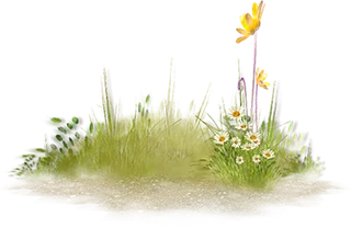 中国古风元素草地