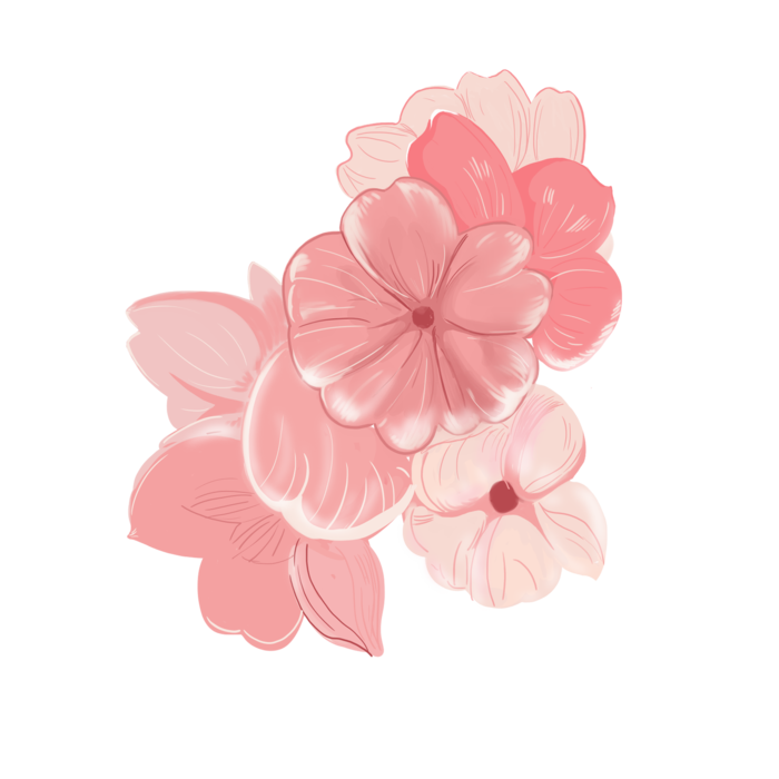 春天浪漫粉红色樱花手绘樱花梅花桃花花朵图片PNG免扣素材